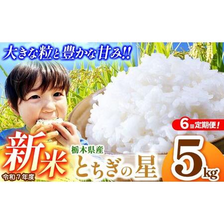 ふるさと納税 [定期便6回]栃木県産とちぎの星 5kg 栃木県真岡市