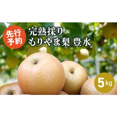 ふるさと納税 完熟採り もりやま梨(豊水)5キロ[先行予約] 滋賀県守山市