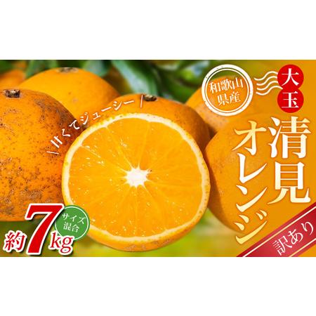 ふるさと納税 大玉清見オレンジ [訳あり] 森本農園の手選別 約7kg 和歌山県産 サイズ混合 [北海道・沖縄・離島配送不可][2026年2月.. 和歌山県かつらぎ町