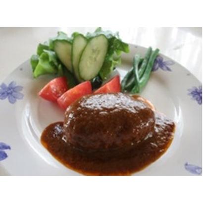 ふるさと納税 てらミ−ト特製 但馬牛煮込みハンバ−グ5個入 兵庫県丹波市