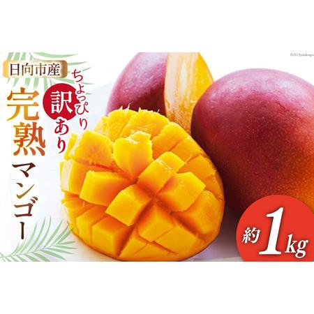 ふるさと納税 21年夏発送 宮崎 日向産完熟マンゴー 訳あり約1kg 15 46 宮崎県日向市 ふるさと納税サイト ふるなび 通販 Yahoo ショッピング