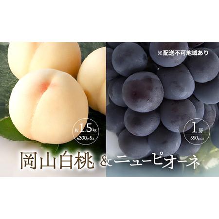 ふるさと納税 桃 ぶどう 2026年 先行予約 清水 白桃 5玉 約1.5kg 1玉約300g ニュー ピオーネ 1房 550g以上もも 葡萄 詰合せ 岡山 国産 フルーツ .. 岡山県玉野市