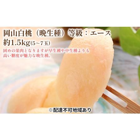 ふるさと納税 固めの 桃 2026年 先行予約 白桃 晩生種 等級 エース 約1.5kg 5〜7玉 もも モモ 岡山 国産 フルーツ 果物 ギフト 桃茂実苑 岡山県玉野市