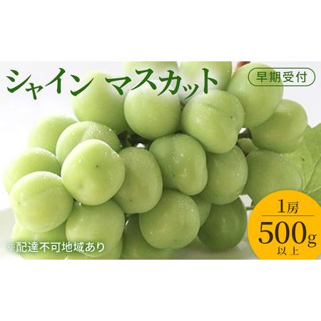 ふるさと納税 ぶどう 早期受付 シャイン マスカット 1房(500g以上) ブドウ 葡萄 岡山県産 国産 フルーツ 果物 ギフト 桃茂実苑 岡山県玉野市