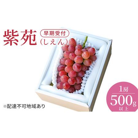 ふるさと納税 ぶどう 早期受付 紫苑 (しえん)1房(500g以上) ブドウ 葡萄 岡山県産 国産 フルーツ 果物 ギフト 桃茂実苑 岡山県玉野市