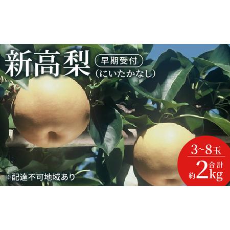 ふるさと納税 梨 早期受付 新高 梨 (にいたかなし)3〜8玉 合計約2kgなし ナシ 岡山県産 国産 フルーツ 果物 ギフト桃茂実苑 果物類 先行予約 岡山県玉野市