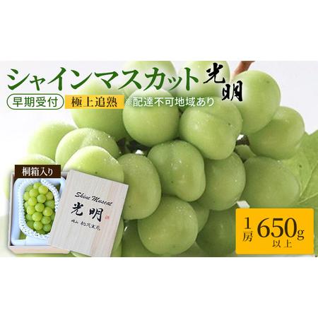 ふるさと納税 ぶどう 早期受付 極上追熟 シャイン マスカット 1房 650g以上 「光明」桐箱入り ブドウ 葡萄 岡山県産 国産 フルーツ 果物 ギフト.. 岡山県玉野市