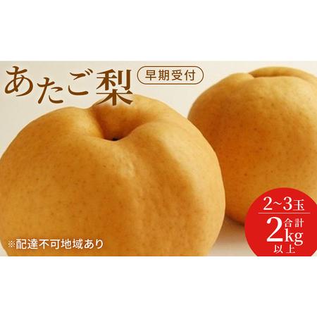 ふるさと納税 梨 早期受付 岡山 の あたご 梨 2〜3玉(2kg以上) 合計2kg以上 なし ナシ 岡山県産 国産 フルーツ 果物 ギフト桃茂実苑 あたご梨.. 岡山県玉野市
