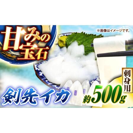 ふるさと納税 剣先イカ 刺身用 500g [JCC024] イカ刺し 長崎県壱岐市