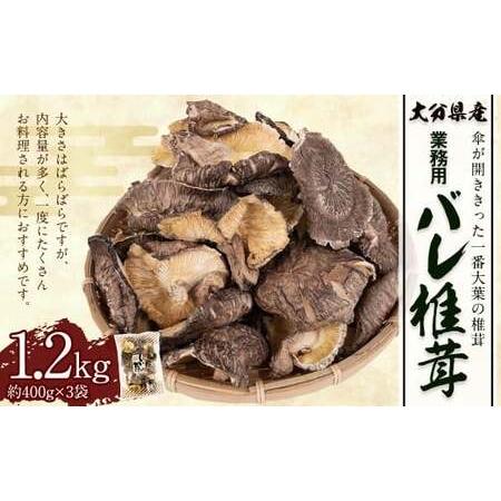 ふるさと納税 大分県産 原木栽培 乾しいたけ 業務用 バレ椎茸 お徳用 約1200g(約400g×3袋) FBR40 大分県竹田市