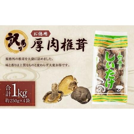 ふるさと納税 [訳あり] お徳用 厚肉椎茸 約1000g (約250g×4袋) FPB39 大分県竹田市