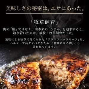 ふるさと納税 【毎月定期便】和牛道ハンバーグ120g×6食セット 大樹町 国産黒毛和牛 グラスフェッドビーフ全3回【配送不可地域：離島】【407.. 北海道大樹町_1