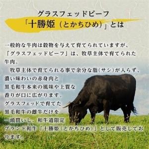 ふるさと納税 【毎月定期便】和牛道ハンバーグ120g×6食セット 大樹町 国産黒毛和牛 グラスフェッドビーフ全3回【配送不可地域：離島】【407.. 北海道大樹町_2