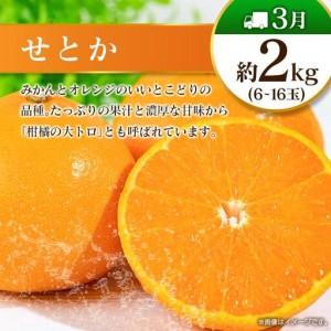 ふるさと納税 【奇数月 6回定期便】旬 人気 フルーツ 南国宮崎産 太陽のタマゴ ピオーネ いちご みかん メロン マンゴー 柑橘 ぶどう 果物 詰め合わせ .. 宮崎県_3