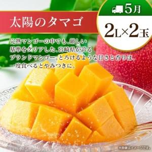 ふるさと納税 【奇数月 6回定期便】旬 人気 フルーツ 南国宮崎産 太陽のタマゴ ピオーネ いちご みかん メロン マンゴー 柑橘 ぶどう 果物 詰め合わせ .. 宮崎県_4
