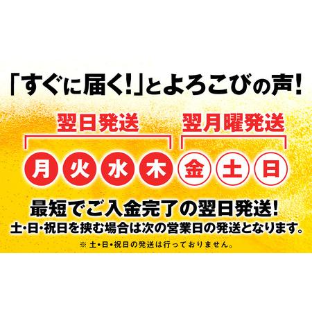 ふるさと納税 キリン本麒麟＜北海道千歳工場産＞350ml （24本）×2ケース 北海道千歳市｜furunavi｜02