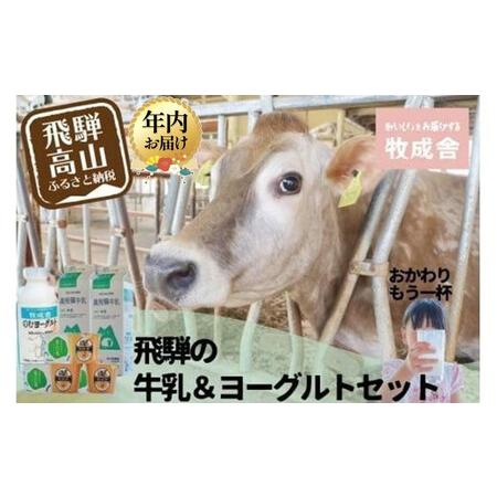 ふるさと納税 [12月配送][牧成舎]飛騨の牛乳屋のこだわり 牛乳&ヨーグルト 4種セット | 年内発送 飲むヨーグルト 生乳 乳製品 自社牧場 低.. 岐阜県高山市