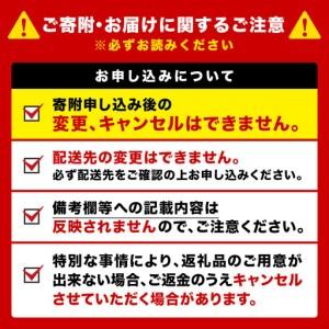 ふるさと納税 【定期便12ヶ月】キリンのどごし＜生＞ 500ml（24本）＜北海道千歳工場産＞ 北海道千歳市_3