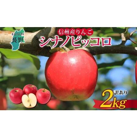 ふるさと納税 [26年発送 先行予約]長野県産 りんご シナノピッコロ 訳あり 約2kg リンゴ 旬 フルーツ 訳アリ 林檎 果物 規格外 自家用 産地直.. 長野県大町市
