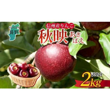 ふるさと納税 [26年発送 先行予約]長野県産 りんご 秋映 訳あり 約2kg リンゴ 旬 フルーツ 訳アリ 林檎 果物 規格外 自家用 産地直送 農園 産.. 長野県大町市