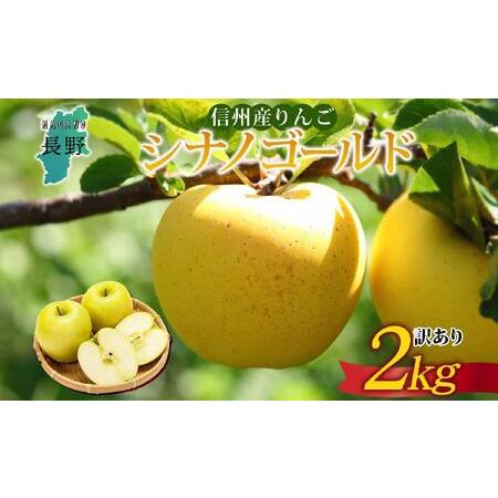 ふるさと納税 [26年発送 先行予約]長野県産 りんご シナノゴールド 訳あり 約2kg リンゴ 旬 フルーツ 訳アリ 林檎 果物 規格外 自家用 産地直.. 長野県大町市