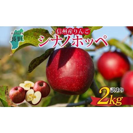 ふるさと納税 [26年発送 先行予約]長野県産 りんご シナノホッペ 訳あり 約2kg リンゴ 旬 フルーツ 訳アリ 林檎 果物 規格外 自家用 産地直送 .. 長野県大町市