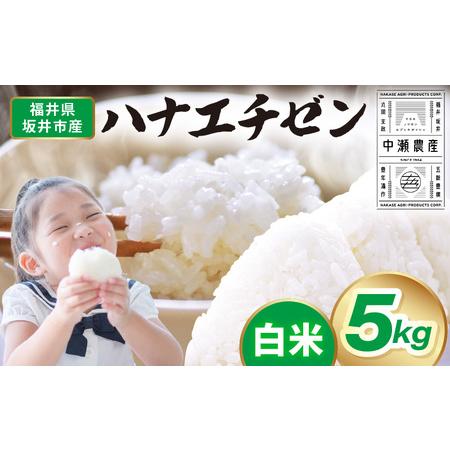 ふるさと納税 先行予約 [令和8年産・新米] 坂井市産 ハナエチゼン 白米 5kg (中瀬農産) 2026年10月以降順次発送予定 精米 おこめ [A-20505] 福井県坂井市