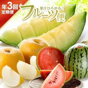 ふるさと納税 SE0493 [3回定期便]果汁がひろがる! 酒田の美味しい果物お届け便2026 (アンデスメロン・小玉すいか・刈屋梨) 山形県酒田市