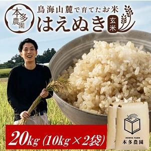 ふるさと納税 SF0320 令和7年産[玄米]はえぬき 20kg(10kg×2袋) 農家直送 HO 山形県酒田市