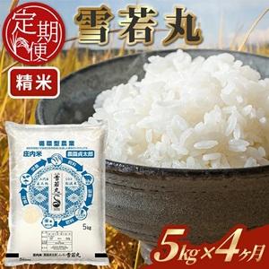 ふるさと納税 SI0055 [4回定期便]令和7年産 [精米]雪若丸 5kg×4回(計20kg) 山形県酒田市