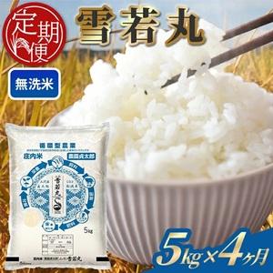 ふるさと納税 SI0056 [4回定期便]令和7年産 [無洗米]雪若丸 5kg×4回(計20kg) 山形県酒田市