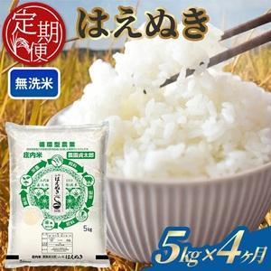 ふるさと納税 SI0058 [4回定期便]令和7年産 [無洗米]はえぬき 5kg×4回(計20kg) 山形県酒田市