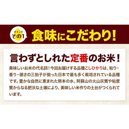 ふるさと納税 【隔月6回定期便】令和7年産 こしひかり 5kg 白米 《お申込み翌月から出荷》 熊本県産山村の画像