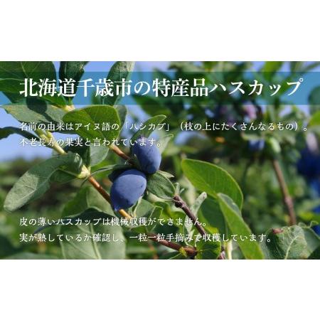 ふるさと納税 千歳ワイナリー ハスカップのワイン3種720ml×各1本＜ギフト箱入＞　【お酒・ワイン・お酒・ワインセット】 北海道千歳市 北海道産 お酒