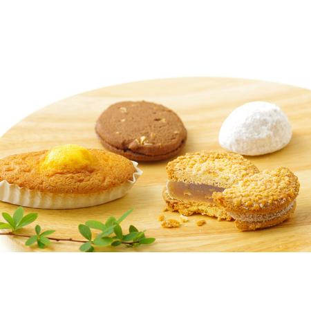ふるさと納税 《定期便》ぽるとオリジナル南蛮菓子 【3回お届け】 長崎県佐世保市_3