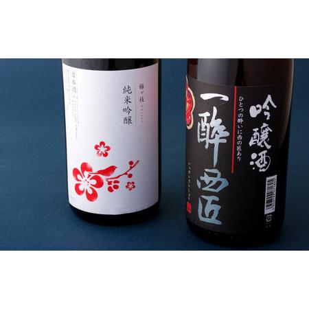 ふるさと納税 [定期便]香り豊かな純米吟醸・吟醸酒のプチ贅沢一升瓶2本[3回お届け] 長崎県佐世保市