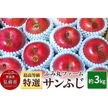 ふるさと納税 [25年12月発送]りんご ふみ丸ファーム 最高等級「特選」 サンふじ 約3kg 青森 弘前 林檎 リンゴ 赤色 青森県弘前市