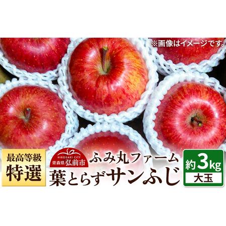 ふるさと納税 [25年12月発送]りんご 最高等級「特選」大玉 葉とらず サンふじ 約3kg 糖度14度以上 青森 弘前 林檎 リンゴ 赤色 青森県弘前市