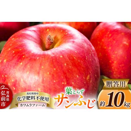 ふるさと納税 りんご 葉とらず サンふじ 約10kg カワムラファーム 贈答用 青森 果物 フルーツ 林檎 リンゴ くだもの 青森県弘前市