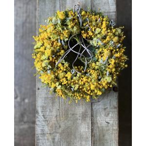 ふるさと納税 ミモザ リース [ フレッシュリース ] 神奈川県藤沢市