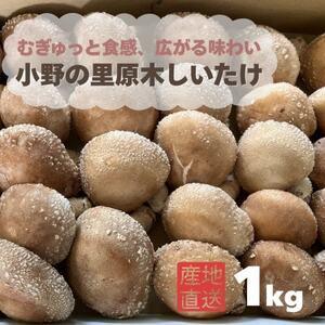 ふるさと納税 むぎゅと触感 広がる味わい 小野の里「原木しいたけ」1kg[配送不可地域:離島・北海道・沖縄県・東海・近畿・中国・四国・九州].. 福島県小野町