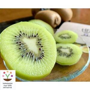 ふるさと納税 キウイフルーツ(ヘイワード)約2kg[1178154] 山梨県山梨市