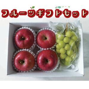 ふるさと納税 フルーツギフトセット 完熟ふじ 4玉・シャインマスカット 1房[1638433] 長野県中野市