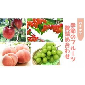 ふるさと納税 信州中野 季節の果物おまかせセット[フルーツ詰め合わせ][配送不可地域:離島][1646790] 長野県中野市