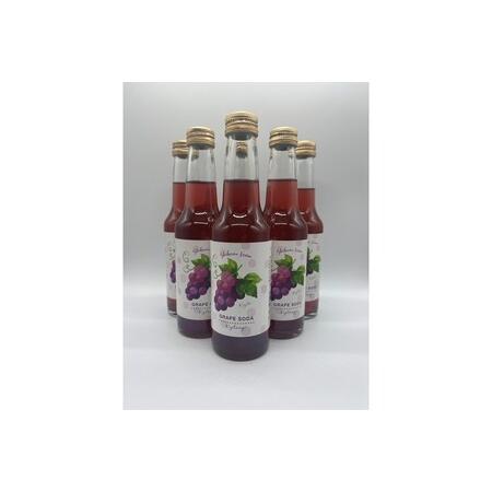 ふるさと納税 京丹後のぶどう炭酸ジュース(ソーダ) 小瓶6本入り(2025年9月下旬〜発送) 京都府京丹後市