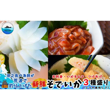 ふるさと納税 徳之島の漁師が荒波で釣り上げたそでいか 3種盛り お刺身・いかキムチ・つけあげ ( 3つの美味しさ ソデイカ いか イカ ) 鹿児島県徳之島町