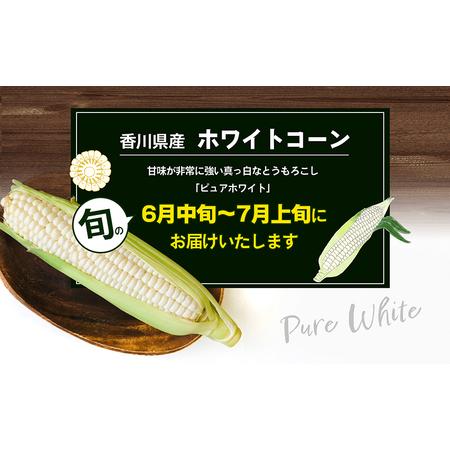 ふるさと納税 ホワイトコーン（ピュアホワイト）約2.5kg 香川県東かがわ市｜furunavi｜04