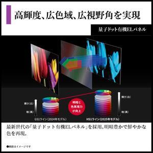 ふるさと納税 シャープ SHARP 【AQUOS(アクオス) 65V型 量子ドット有機ELテレビ 4T-C65HS1】 千葉県千葉市の画像