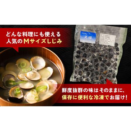 ふるさと納税 【全6回定期便】産地直送！宍道湖産 冷凍大和しじみMサイズ2kg(500g×4) 砂抜き処理済 島根県松江市/りすたむmatsue[ALDE008] 島根県松江市の画像