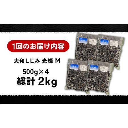 ふるさと納税 【全6回定期便】産地直送！宍道湖産 冷凍大和しじみMサイズ2kg(500g×4) 砂抜き処理済 島根県松江市/りすたむmatsue[ALDE008] 島根県松江市の画像